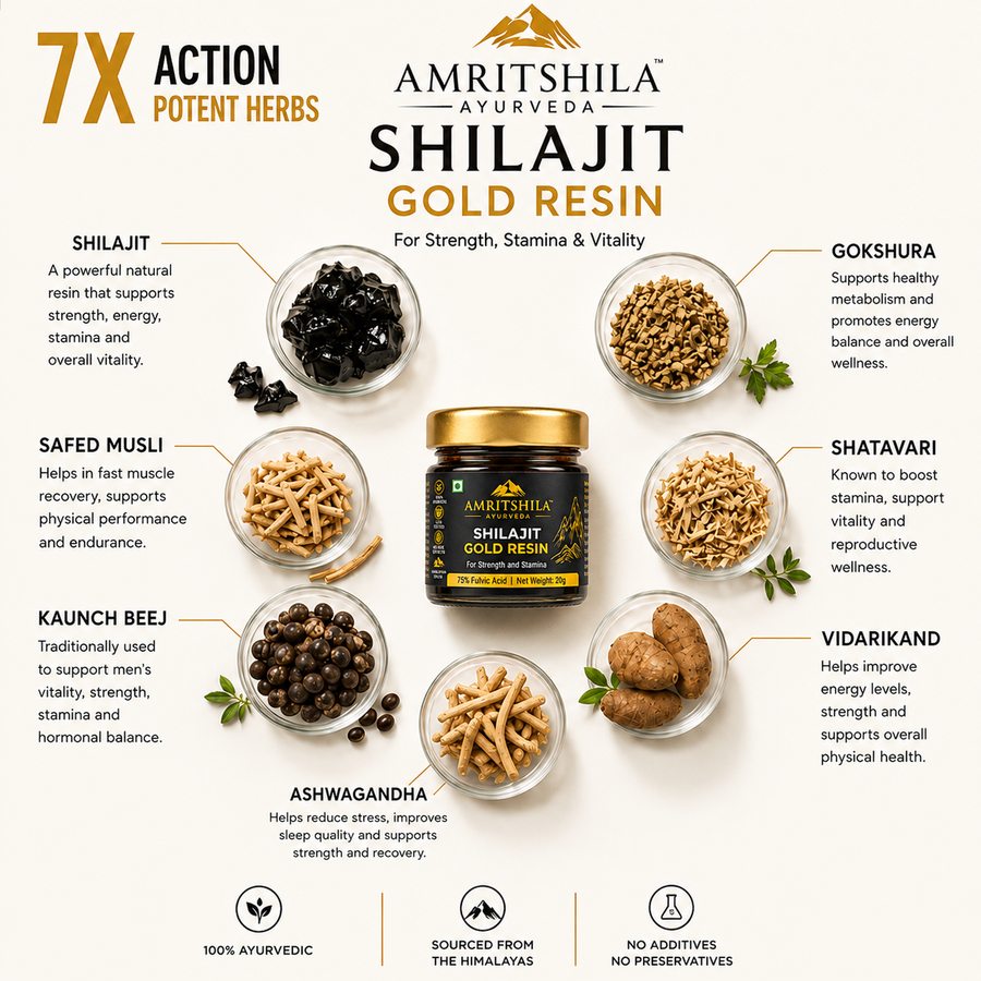 Amritshila Himalayan Shilajit Resin