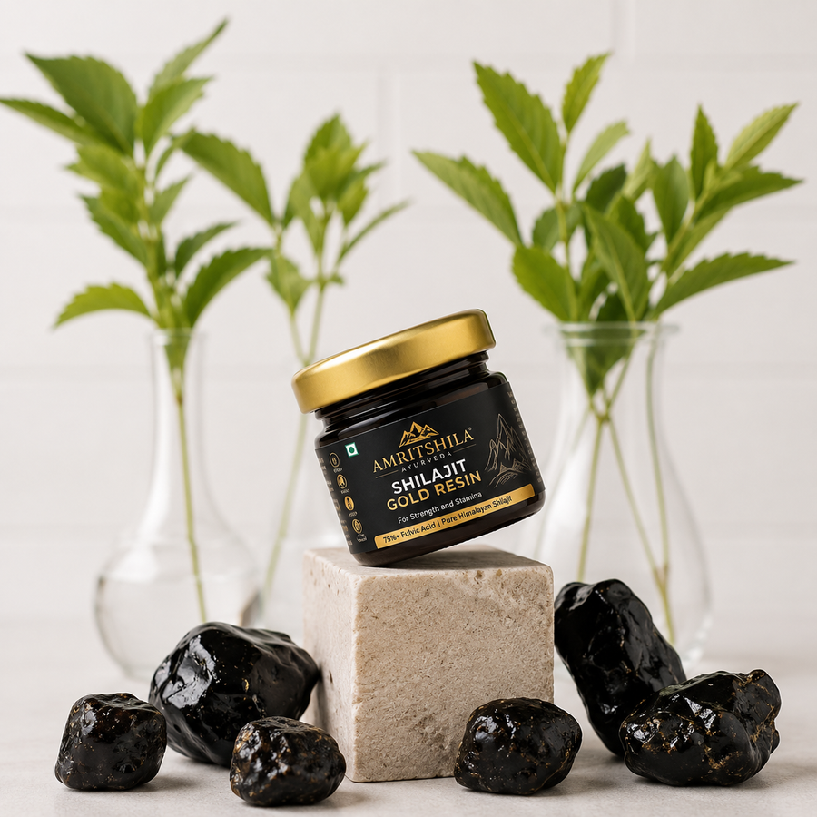 Amritshila Himalayan Shilajit Resin
