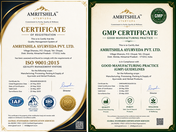 ISO & GMP Quality Audit
