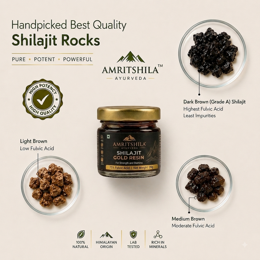 Amritshila Himalayan Shilajit Resin